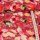 Viscose - Aquarell Summer Flowers on Berry