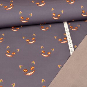 Softshell smiling cat orange on grey