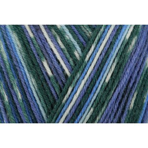REGIA Sock yarn Color Design Line 4-ply, 03658 Winter Night 100g