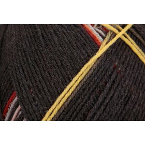 REGIA Sock yarn Color Design Line 4-ply, 09135 Fall 100g
