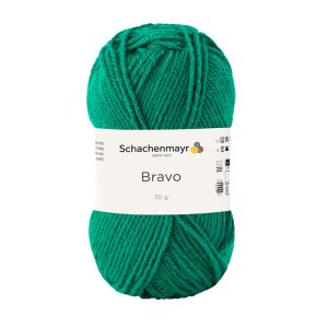 Schachenmayr Bravo, 08246 Grass 50g