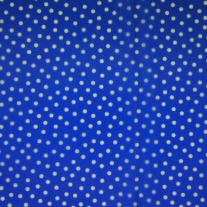 Raincoat Fabric Dots Blue