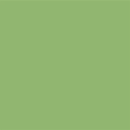 STAHLS Flexfoil CAD-CUT Sportsfilm #420 pastel green - DIN A4 Sheet