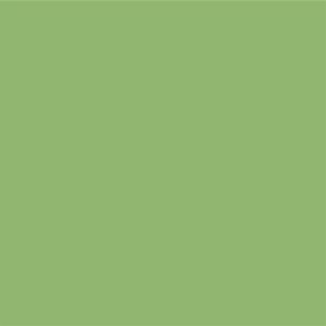 STAHLS Flexfoil CAD-CUT Sportsfilm #420 pastel green -...