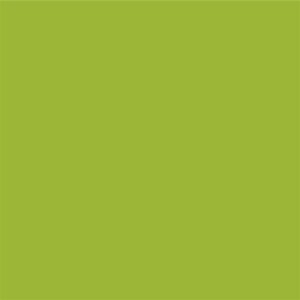 STAHLS Flexfoil CAD-CUT Premium Plus #421 apple green -...